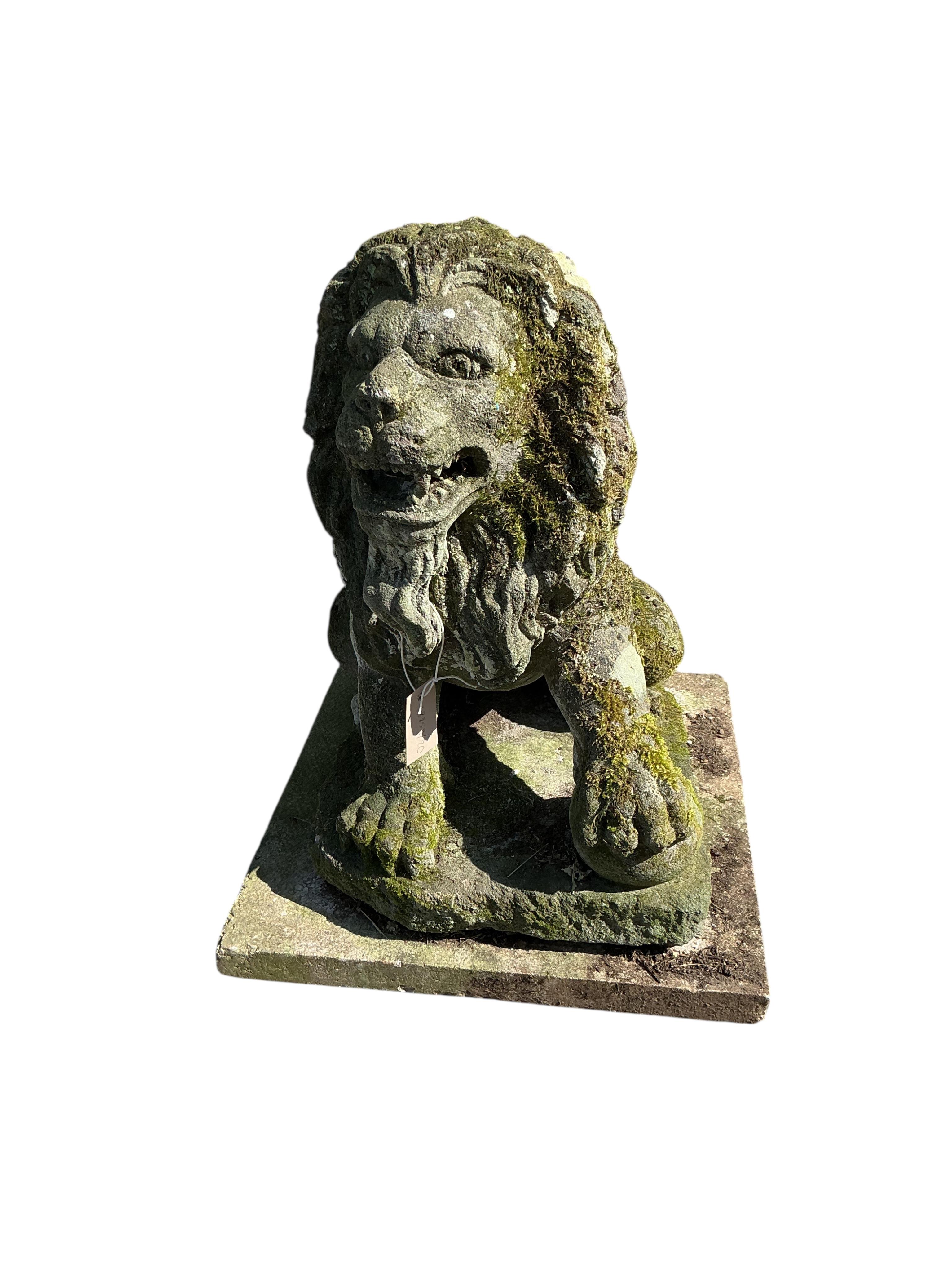 A reconstituted stone seated lion garden ornament, height 60cm